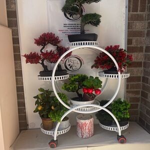 White Circular Plant Stand with Potted Plants